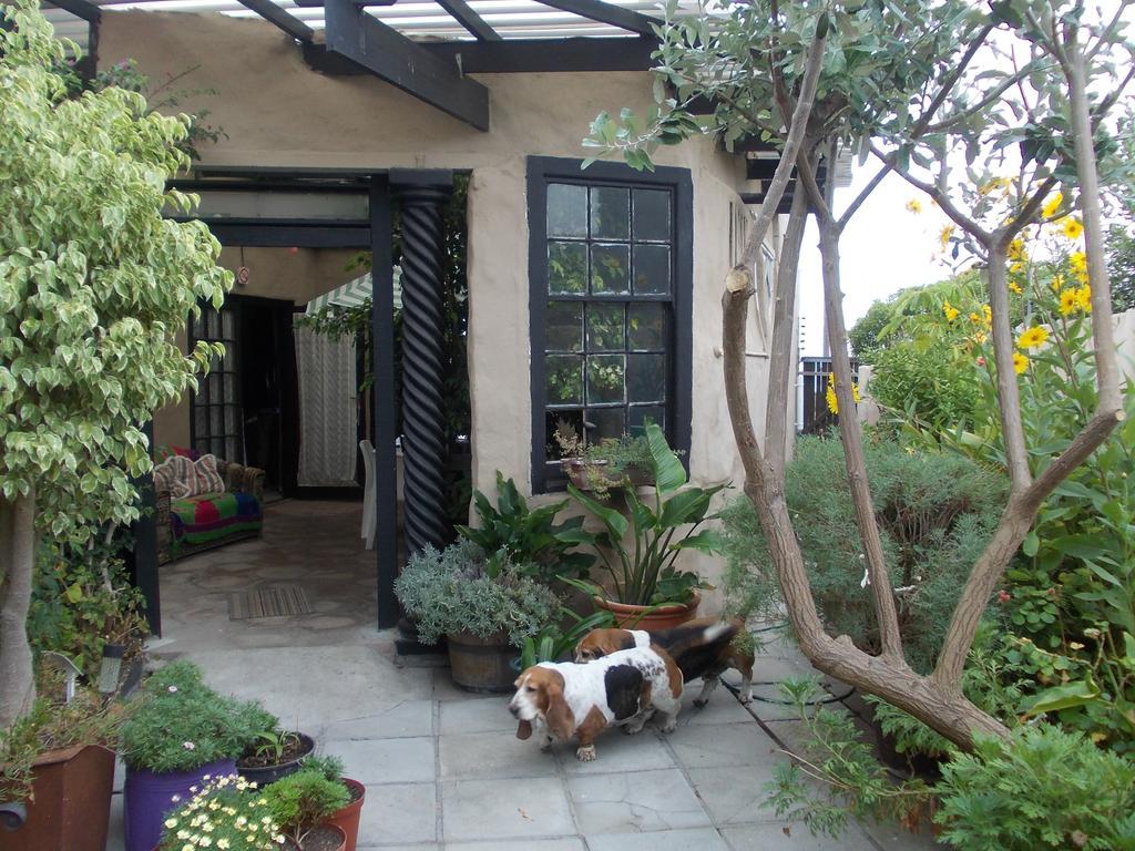 Villa Ocean Crest B&B Gansbaai Zewnętrze zdjęcie