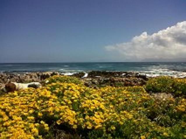 Villa Ocean Crest B&B Gansbaai Zewnętrze zdjęcie