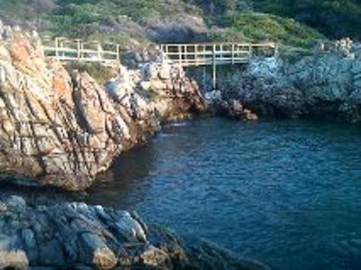 Villa Ocean Crest B&B Gansbaai Zewnętrze zdjęcie